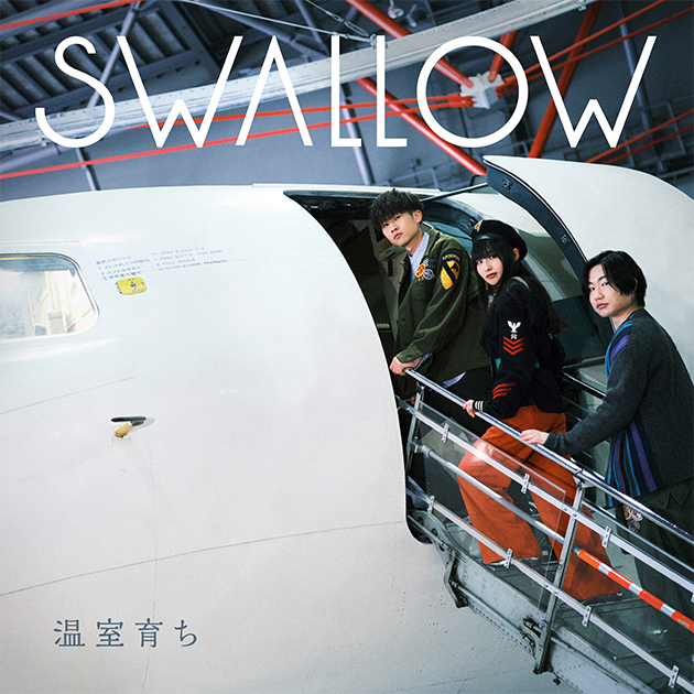 『温室育ち』 SWALLOW